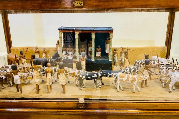 WhatsApp Image 2026-02-23 at 14.05.51