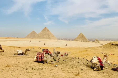 Great Pyramids of Giza and camels during a Cairo day tour