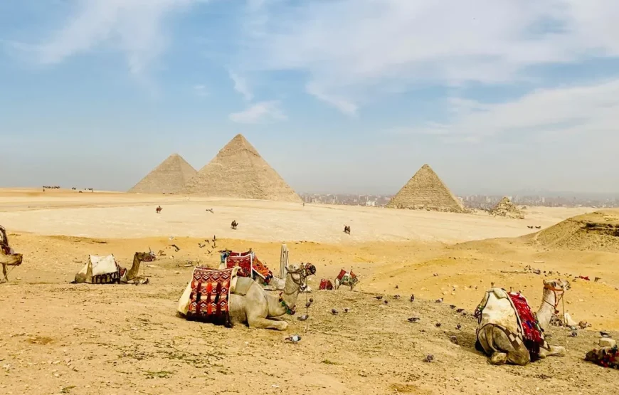 Kair i Wielkie Muzeum Egipskie (GEM) z Hurghady 2026: Piramidy z polskim egiptologiem