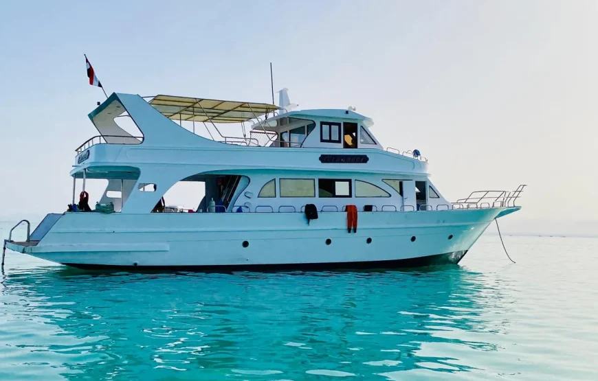 Hula Hula Hurghada 2026 – Snorkeling w głębokiej wodzie i relaks na plaży Giftun | WawelEG