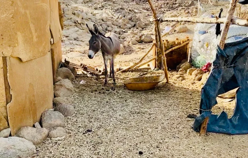 Mega Pustynne Safari Hurghada 2026: Quady, Jeepy i Rodzinna Przygoda