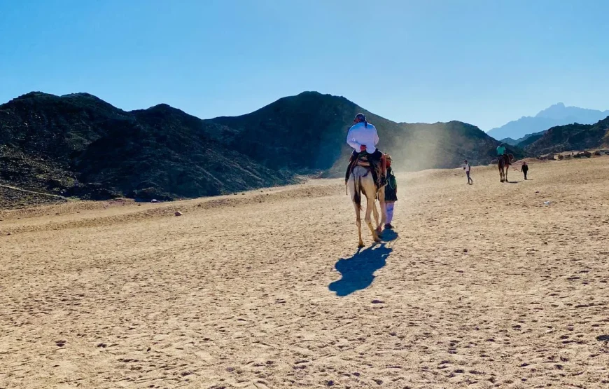 Mega Pustynne Safari Hurghada 2026: Quady, Jeepy i Rodzinna Przygoda