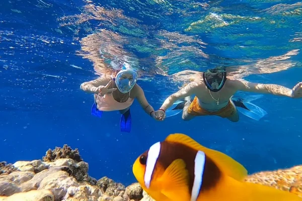 Snurkowanie w Hurghadzie – turyści podziwiający ryby i rafę koralową