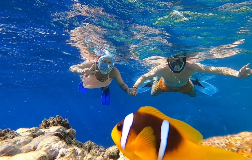 Hula Hula Hurghada – Snorkeling and Island Relaxation | WawelEG