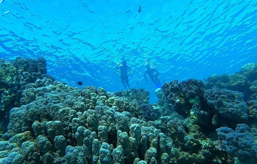 Hula Hula Hurghada – Snorkeling i relaks na wyspie | WawelEG