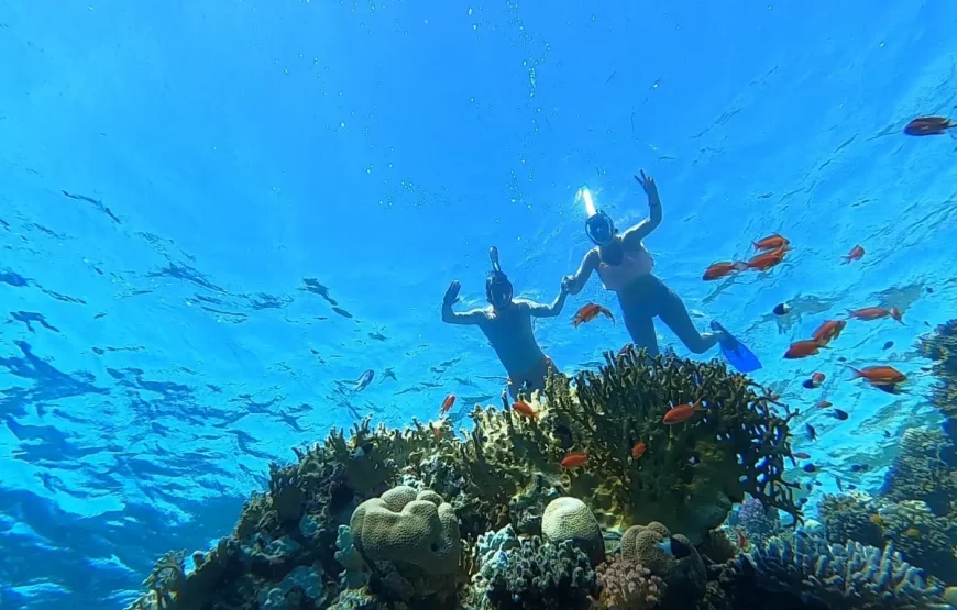 Hula Hula Hurghada – Snorkeling i relaks na wyspie | WawelEG