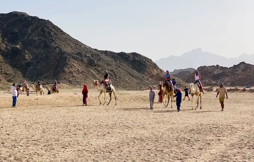 Mega Desert Safari Hurghada 2026: Quad, Jeep & Family Adventure – waweleg