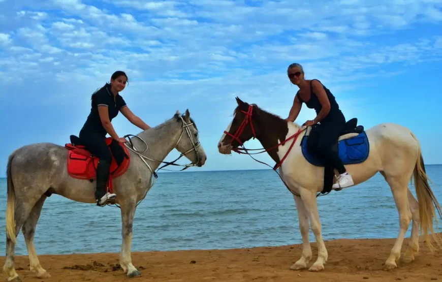 Horse Riding & Sea Swimming in Hurghada – WawelEg